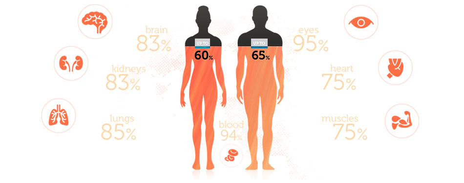 Alive Water will bring you back to life